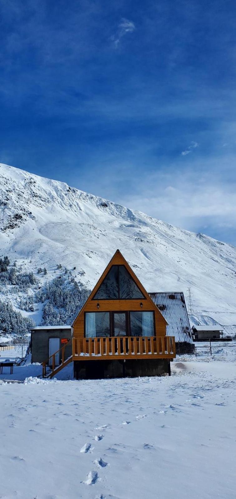 Mountain Hut In Kazbegi 빌라 외부 사진